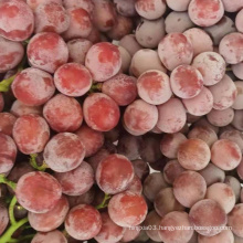 Chinese grape fresh grape new season grape price